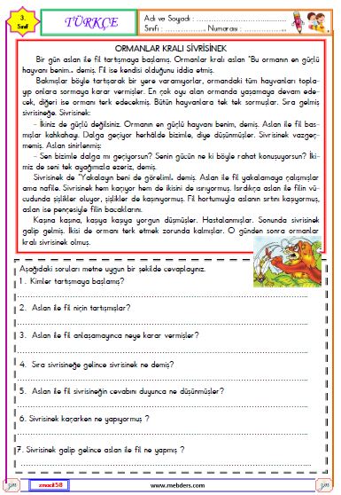 3. Sınıf Türkçe Okuma ve Anlama Etkinliği ( Ormanlar Kralı Sivrisinek )